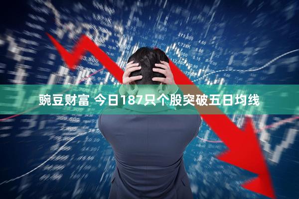 豌豆财富 今日187只个股突破五日均线