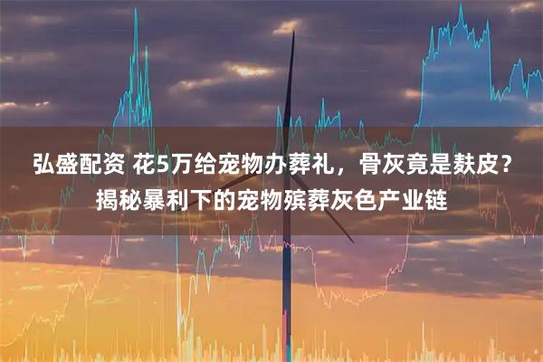 弘盛配资 花5万给宠物办葬礼，骨灰竟是麸皮？揭秘暴利下的宠物殡葬灰色产业链