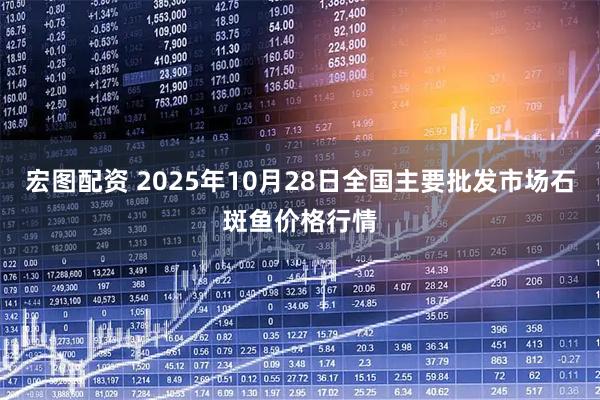 宏图配资 2025年10月28日全国主要批发市场石斑鱼价格行情