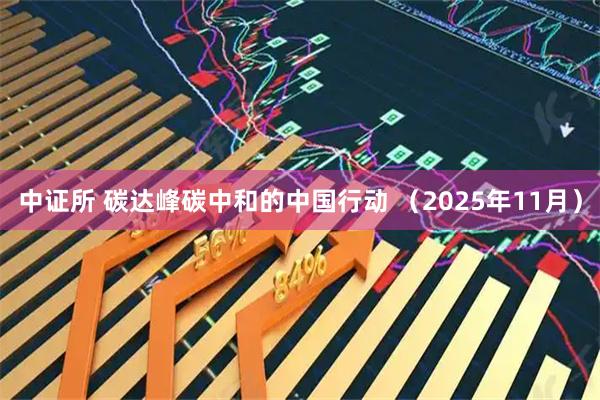 中证所 碳达峰碳中和的中国行动 （2025年11月）