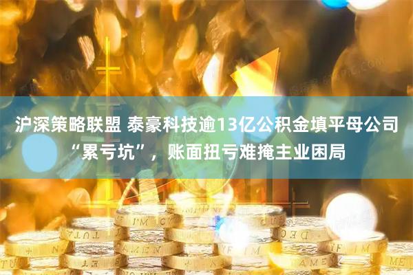 沪深策略联盟 泰豪科技逾13亿公积金填平母公司“累亏坑”，账面扭亏难掩主业困局